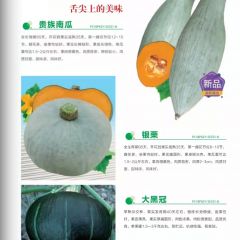 棒球银栗