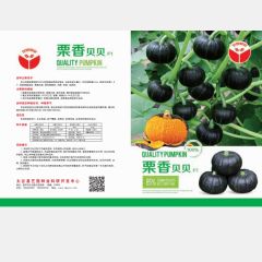 栗香贝贝