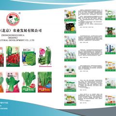 各种蔬菜种子