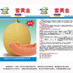 蜜黄金哈密瓜