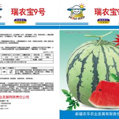 瑞农宝9号西瓜