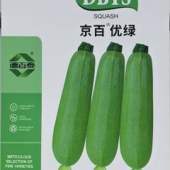 京百优绿西葫芦