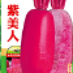 紫美人-水果萝卜