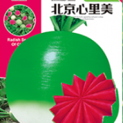 心里美