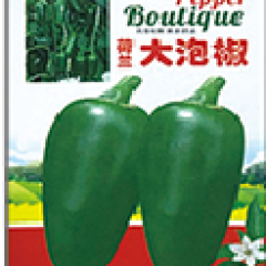 荷兰大泡椒