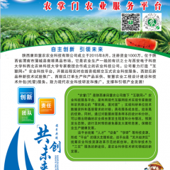 西瓜种子