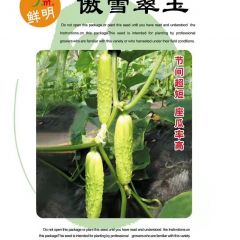 傲雪翠玉黄瓜