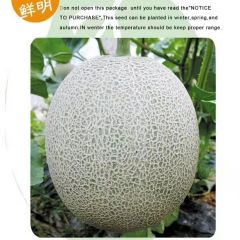 网厚甜2000