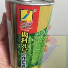 苦瓜种子