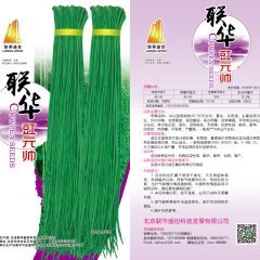 联华豇元帅