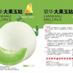 联华大果玉姑甜瓜