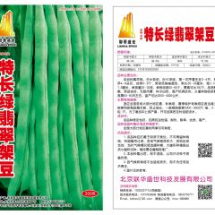 特长绿翡翠架豆豆角