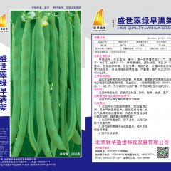 盛世翠绿早满架豆角